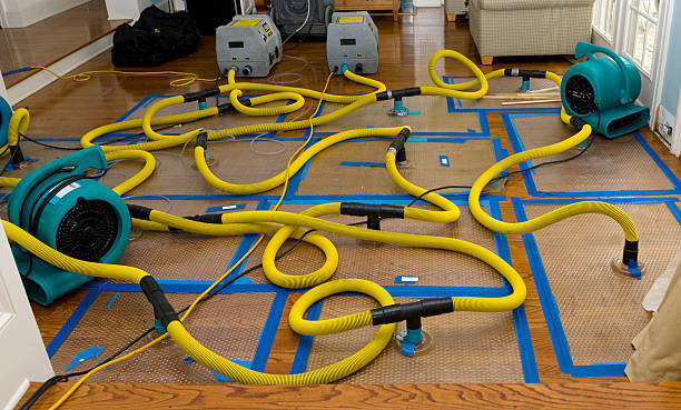 Professional Sewage Cleanup technician working in San Pablo, NM